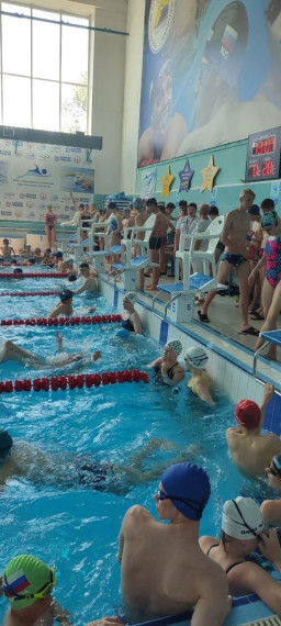 В спорткомплексе "Торпедо" проходит 3-й день областных соревнований по плаванию!. В спорткомплексе "Торпедо" проходит 3-й день областных соревнований по плаванию!.